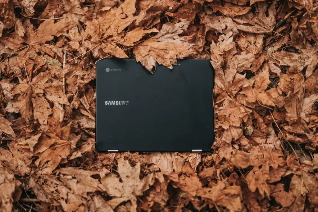 A Samsung Chromebook on Autumn Leaves