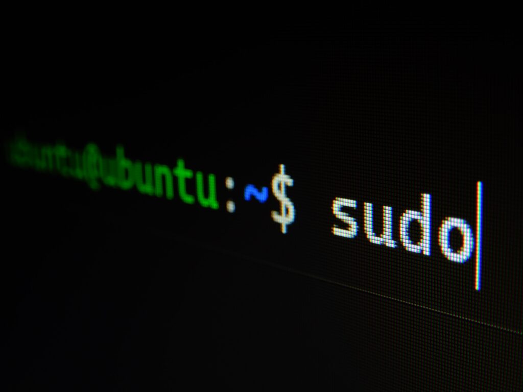 A screenshot of a Linux sudo command