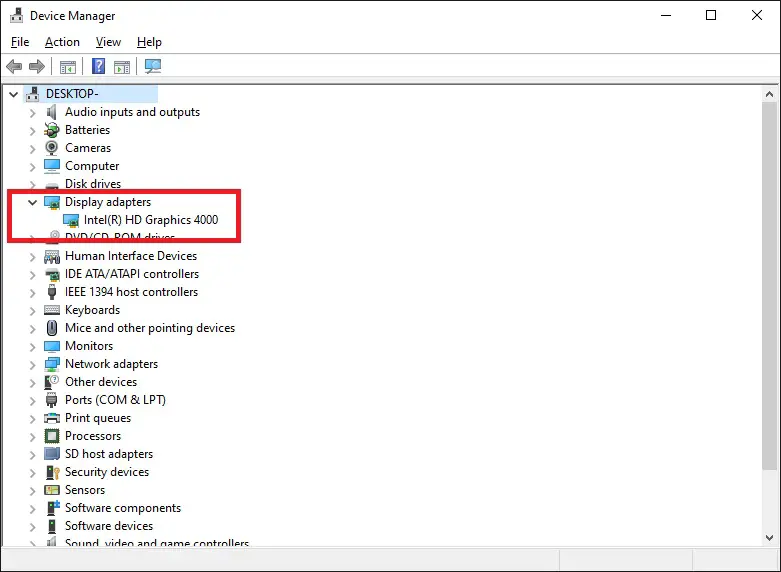 Name of Display Adapter is Shown Within Device Manager